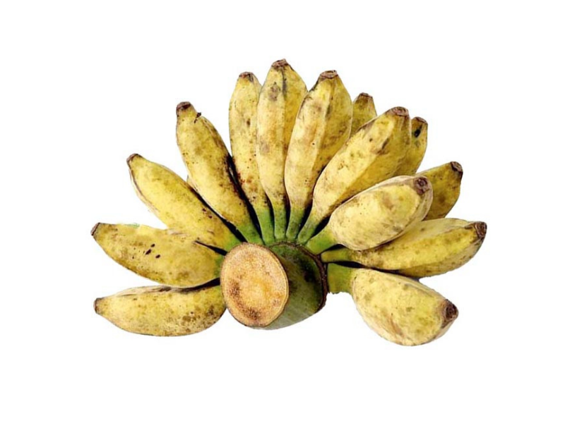 CHUỐI SÁP